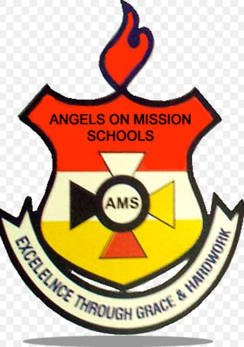 Angels on a Mission Schools logo
